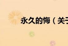 永久的悔（关于永久的悔的介绍）