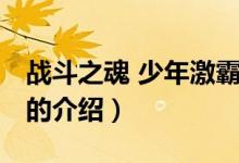战斗之魂 少年激霸（关于战斗之魂 少年激霸的介绍）