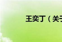 王奕丁（关于王奕丁的介绍）