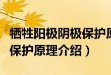 牺牲阳极阴极保护原理是什么（牺牲阳极阴极保护原理介绍）