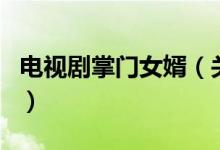 电视剧掌门女婿（关于电视剧掌门女婿的介绍）