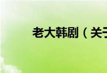 老大韩剧（关于老大韩剧的介绍）