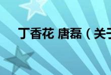 丁香花 唐磊（关于丁香花 唐磊的介绍）