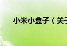 小米小盒子（关于小米小盒子的介绍）