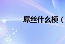 屌丝什么梗（屌丝梗意思介绍）