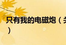 只有我的电磁炮（关于只有我的电磁炮的介绍）