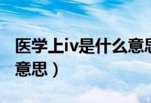 医学上iv是什么意思的缩写(医学上iv是什么意思)