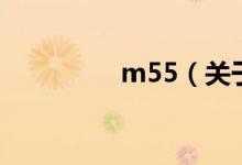 m55（关于m55的介绍）