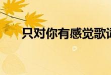 只对你有感觉歌词（这首歌是谁唱的）