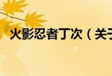 火影忍者丁次（关于火影忍者丁次的介绍）