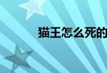 猫王怎么死的（猫王个人介绍）