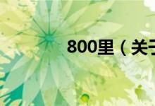 800里（关于800里的介绍）