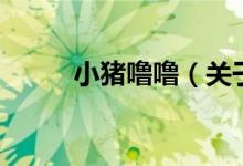 小猪噜噜（关于小猪噜噜的介绍）