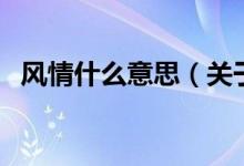 风情什么意思（关于风情什么意思的介绍）