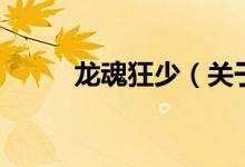 龙魂狂少（关于龙魂狂少的介绍）