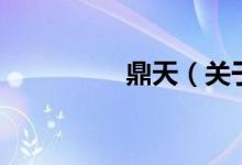鼎天（关于鼎天的介绍）