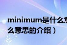 minimum是什么意思（关于minimum是什么意思的介绍）