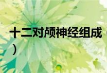 十二对颅神经组成(十二对颅神经分别是什么)