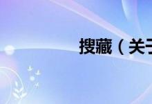 搜藏（关于搜藏的介绍）