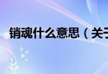 销魂什么意思（关于销魂什么意思的介绍）