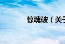 惊魂破(关于惊魂破的介绍)