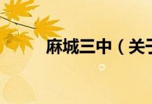 麻城三中（关于麻城三中的介绍）