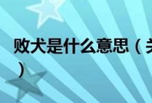 败犬是什么意思（关于败犬是什么意思的介绍）