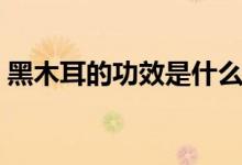 黑木耳的功效是什么(黑木耳对身体的好处)