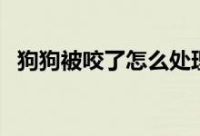 狗狗被咬了怎么处理(主人需要怎么救治)