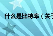 什么是比特率（关于什么是比特率的介绍）