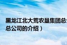 黑龙江北大荒农垦集团总公司（关于黑龙江北大荒农垦集团总公司的介绍）