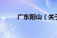 广东阳山（关于广东阳山的介绍）