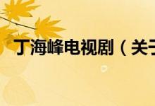 丁海峰电视剧(关于丁海峰电视剧的介绍)