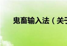 鬼畜输入法（关于鬼畜输入法的介绍）