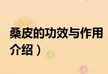 桑皮的功效与作用(关于桑皮的功效与作用的介绍)