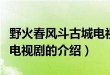 野火春风斗古城电视剧（关于野火春风斗古城电视剧的介绍）
