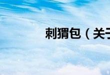 刺猬包（关于刺猬包的介绍）