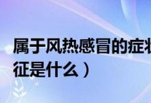 属于风热感冒的症状有(热伤风感冒的症状特征是什么)