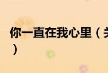 你一直在我心里（关于你一直在我心里的介绍）