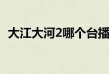 大江大河2哪个台播出（大江大河2的简介）