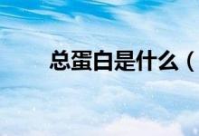总蛋白是什么（总蛋白是什么意思）
