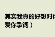 其实我真的好想对你说是什么歌（死心塌地去爱你歌词）