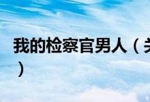 我的检察官男人（关于我的检察官男人的介绍）