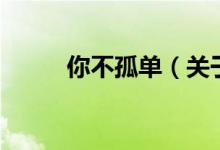 你不孤单（关于你不孤单的介绍）