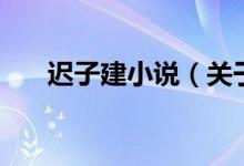 迟子建小说（关于迟子建小说的介绍）