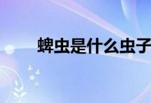 蜱虫是什么虫子图片（蜱虫是什么）