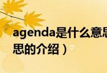 agenda是什么意思（关于agenda是什么意思的介绍）