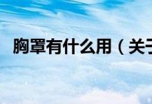 胸罩有什么用（关于胸罩有什么用的介绍）