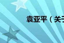 袁亚平（关于袁亚平的介绍）