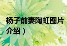 杨子前妻陶虹图片（关于杨子前妻陶虹图片的介绍）